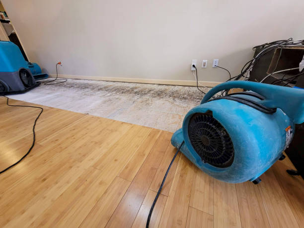 Professional Burst Pipe Water Damage technician working in Elloree, SC